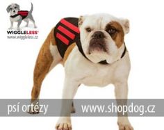 ps� ort�za WiggleLess� L regular - www.shopdog.cz