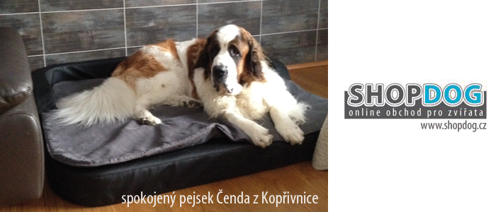 referenn foto od zkaznice z Kopivnice, www.shopdog.cz