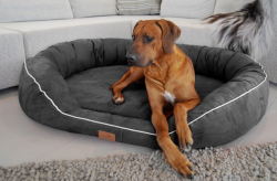 ortopedick� pelech pro psa MARLON VISCO PLUS XL grafit - pohled 1 - www.shopdog.cz