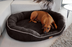 ortopedick� pelech pro psa MARLON VISCO PLUS XXXXL �ern� - www.shopdog.cz