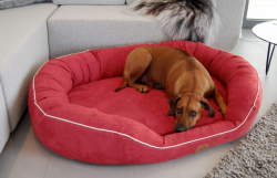 ortopedick� pelech pro psa MARLON VISCO PLUS XXXXL �erven� - www.shopdog.cz