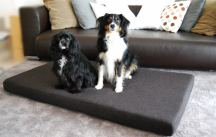 ortopedick� pelech pro psa LINUS VISCO PLUS M �ern� - pohled 3 - www.shopdog.cz