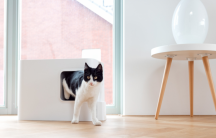 toaleta pro ko�ky Hoopo b�l� - pohled 7 - www.shopdog.cz