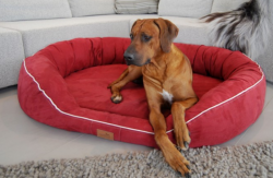 ortopedick� pelech pro psa MARLON VISCO PLUS bordo M - www.shopdog.cz