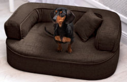 ortopedick pelech, sofa pro psa LOTTE velikost M hnd 1 - pohled 1 - www.shopdog.cz