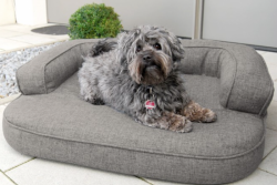 ortopedick� pelech, sofa pro psa LOTTE velikost XL grafit 3 - pohled 1 - www.shopdog.cz