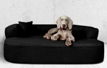 ortopedick pelech, sofa pro psa LOTTE velikost XXL ern 4 - pohled 1 - www.shopdog.cz