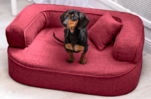 ortopedick� pelech, sofa pro psa LOTTE velikost M bordov� 1