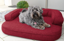 ortopedick� pelech, sofa pro psa LOTTE velikost XL bordov� 3