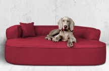 ortopedick� pelech, sofa pro psa LOTTE velikost XXL bordo 4