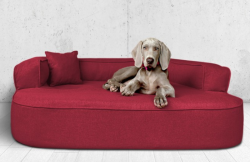 ortopedick pelech, sofa pro psa LOTTE velikost XXL bordo 4 - pohled 1 - www.shopdog.cz