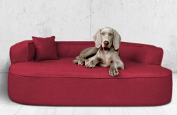 ortopedick� pelech, sofa pro psa LOTTE velikost XXL bordo 4 - pohled 1 - www.shopdog.cz