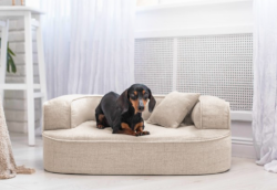 ortopedick� pelech, sofa pro psa LOTTE velikost M b�ov� 1 - pohled 1 - www.shopdog.cz