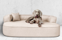 ortopedick� pelech, sofa pro psa LOTTE velikost XXL b�ov� 4