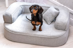 ortopedick� pelech, sofa pro psa LOTTE velikost M �ed� 1 - pohled 1 - www.shopdog.cz
