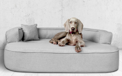 ortopedick� pelech, sofa pro psa LOTTE velikost XXL �ed� 4 - pohled 1 - www.shopdog.cz