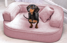 ortopedick� pelech, sofa pro psa LOTTE velikost M r��ov� 1