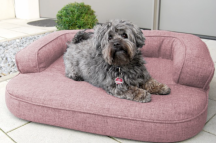 ortopedick� pelech, sofa pro psa LOTTE velikost XL r��ov� 3