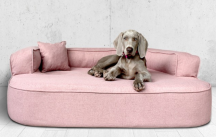 ortopedick� pelech, sofa pro psa LOTTE velikost XXL r��ov� 4