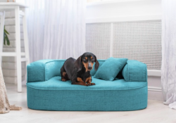 ortopedick� pelech, sofa pro psa LOTTE velikost M tyrkys 1 - pohled 1 - www.shopdog.cz