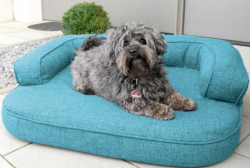 ortopedick� pelech, sofa pro psa LOTTE velikost XL tyrkys 3 - pohled 1 - www.shopdog.cz