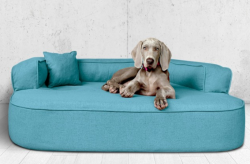 ortopedick� pelech, sofa pro psa LOTTE velikost XXL tyrkys 4 - pohled 1 - www.shopdog.cz