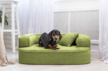 ortopedick� pelech, sofa pro psa LOTTE velikost M zelen� 1