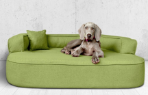ortopedick pelech, sofa pro psa LOTTE velikost XXL zelen 4