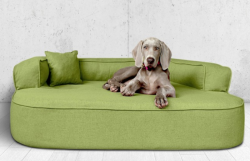 ortopedick pelech, sofa pro psa LOTTE velikost XXL zelen 4 - pohled 1 - www.shopdog.cz