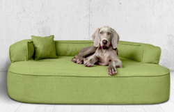 ortopedick� pelech, sofa pro psa LOTTE velikost XXL zelen� 4 - pohled 1 - www.shopdog.cz
