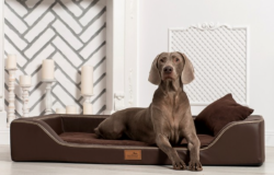 ortopedick� pelech MELODY VIP velikost L hn�d� 2 - www.shopdog.cz