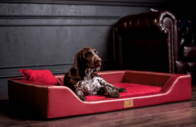 ortopedick� pelech MELODY VIP velikost M bordo 1