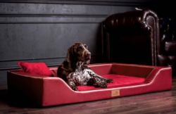 ortopedick� pelech MELODY VIP velikost XL bordo 3 - www.shopdog.cz