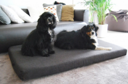 ortopedick� matrace ANTON Visco Plus velikost XXL grafit 4 - www.shopdog.cz