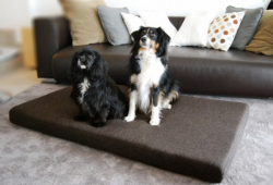 ortopedick� matrace ANTON Visco Plus velikost XL hn�d� 3 - www.shopdog.cz