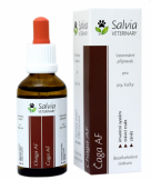 chaga Salvia Veterinary bylinn extrakt AF 50ml - www.shopdog.cz