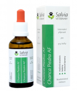 chanca piedra Salvia Veterinary bylinn� extrakt AF 50ml - www.shopdog.cz