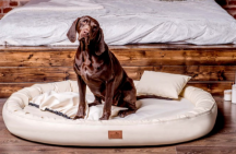 povlak Basic na ortopedick� pelech velikost XL 110cm kr�mov� - pohled 2 - www.shopdog.cz