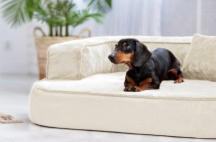 ortopedick� sofa pro psa Sharleen kr�mov� velikost M - pohled 3 - www.shopdog.cz