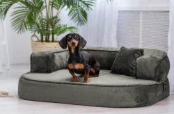 ortopedick� sofa pro psa Sharleen olivov� velikost M - pohled 1 - www.shopdog.cz
