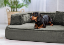 ortopedick� sofa pro psa Sharleen olivov� velikost M - pohled 2 - www.shopdog.cz