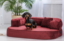 ortopedick� sofa pro psa Sharleen bordov� velikost M - pohled 2 - www.shopdog.cz