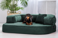 ortopedick� sofa pro psa Sharleen petrolejov� velikost M - pohled 1 - www.shopdog.cz