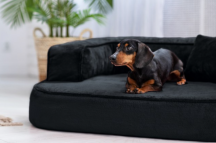 ortopedick� sofa pro psa Sharleen antrazit velikost M