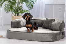 ortopedick� sofa pro psa Sharleen �ed� velikost L - pohled 2 - www.shopdog.cz