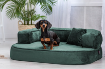 ortopedick sofa pro psa Sharleen petrolejov velikost L - pohled 1 - www.shopdog.cz