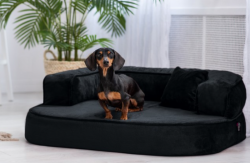 ortopedick� sofa pro psa Sharleen antrazit velikost L - pohled 1 - www.shopdog.cz