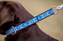 polostahovac� obojek Standard reflexn� 7 - pohled 2 - www.shopdog.cz