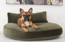 pol�t��, matrace na le�en� pro psy Luna Oxford 1 - pohled 2 - www.shopdog.cz