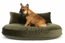 pol�t��, matrace na le�en� pro psy Luna Oxford 1 - pohled 6 - www.shopdog.cz